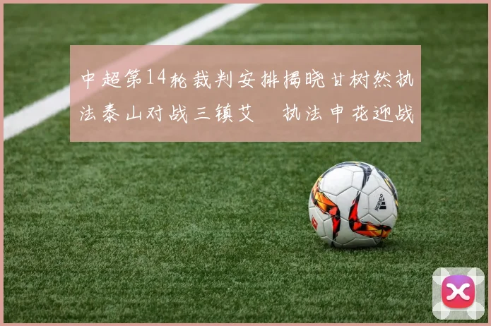 中超第14轮裁判安排揭晓甘树然执法泰山对战三镇艾堃执法申花迎战新鹏城