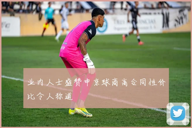 业内人士盛赞申京球商高合同性价比令人称道